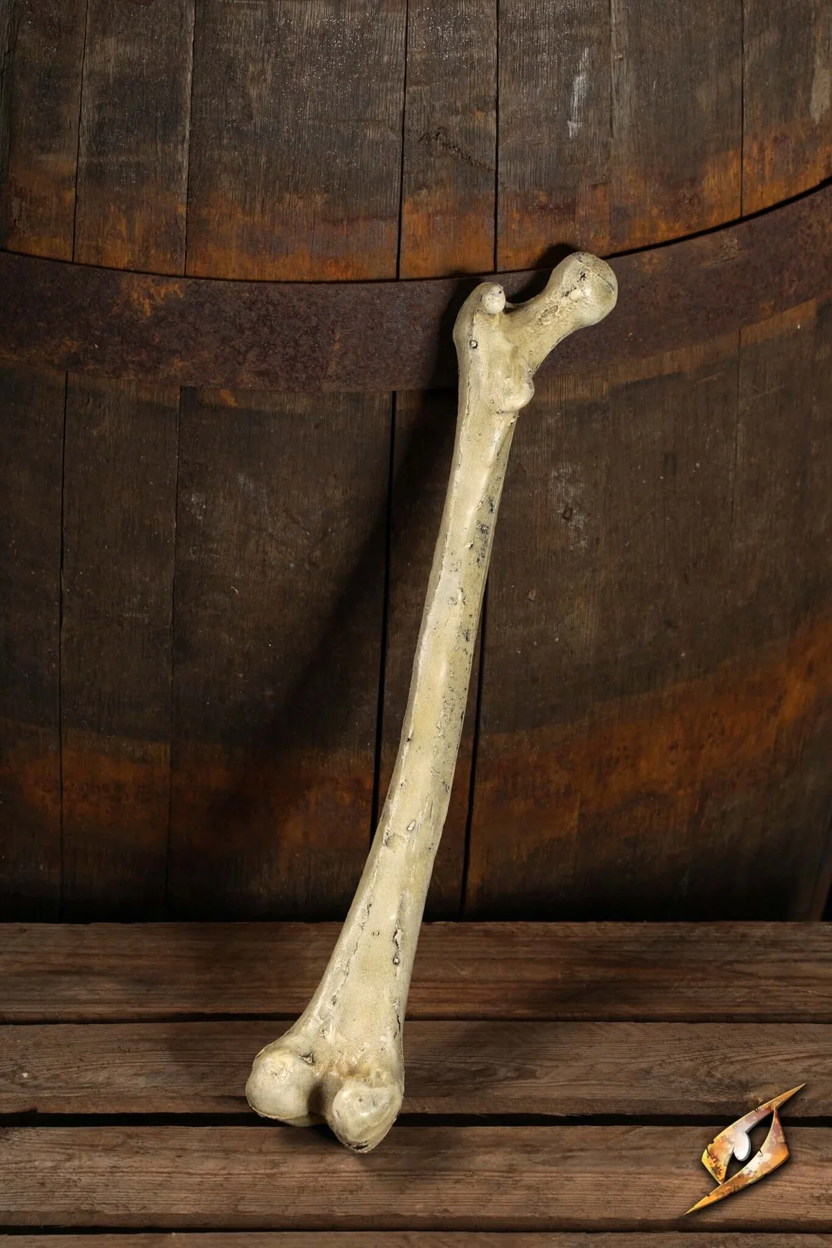 Thigh Bone