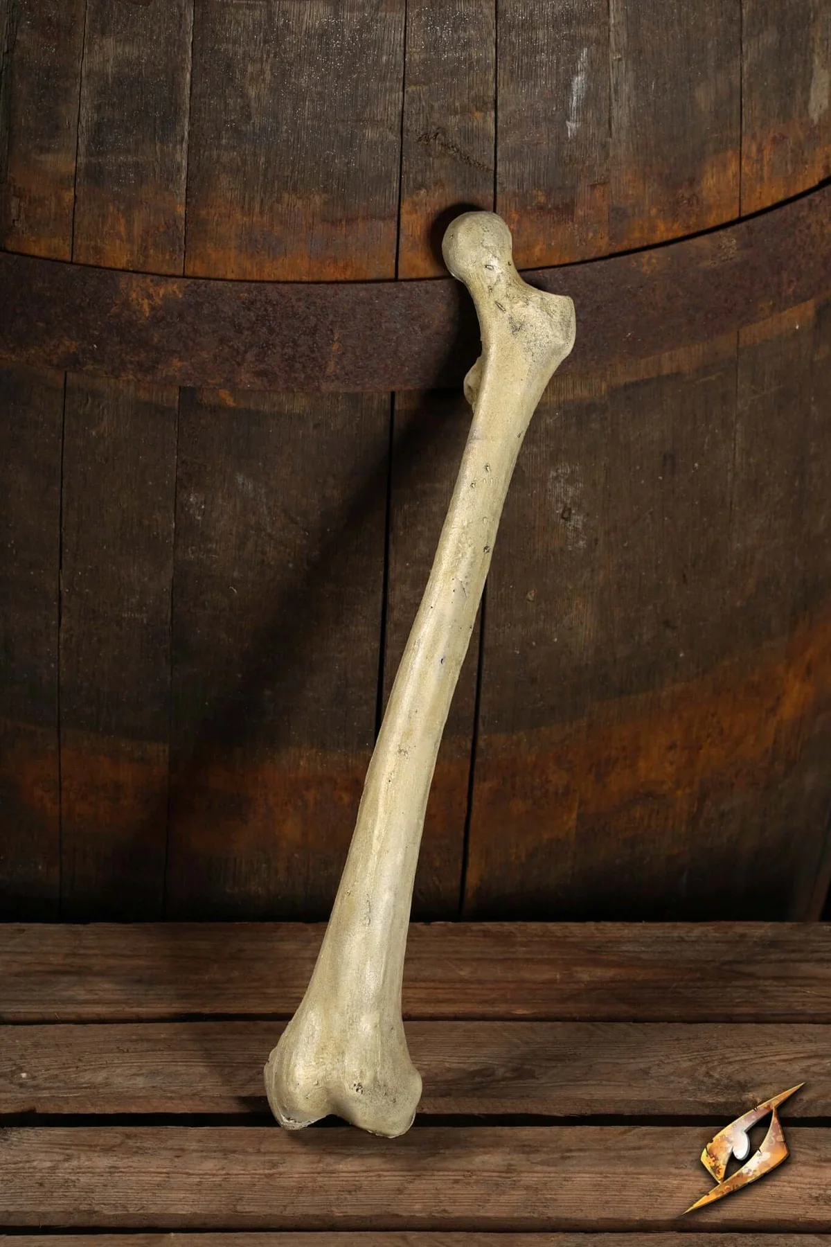 Thigh Bone - Image 3