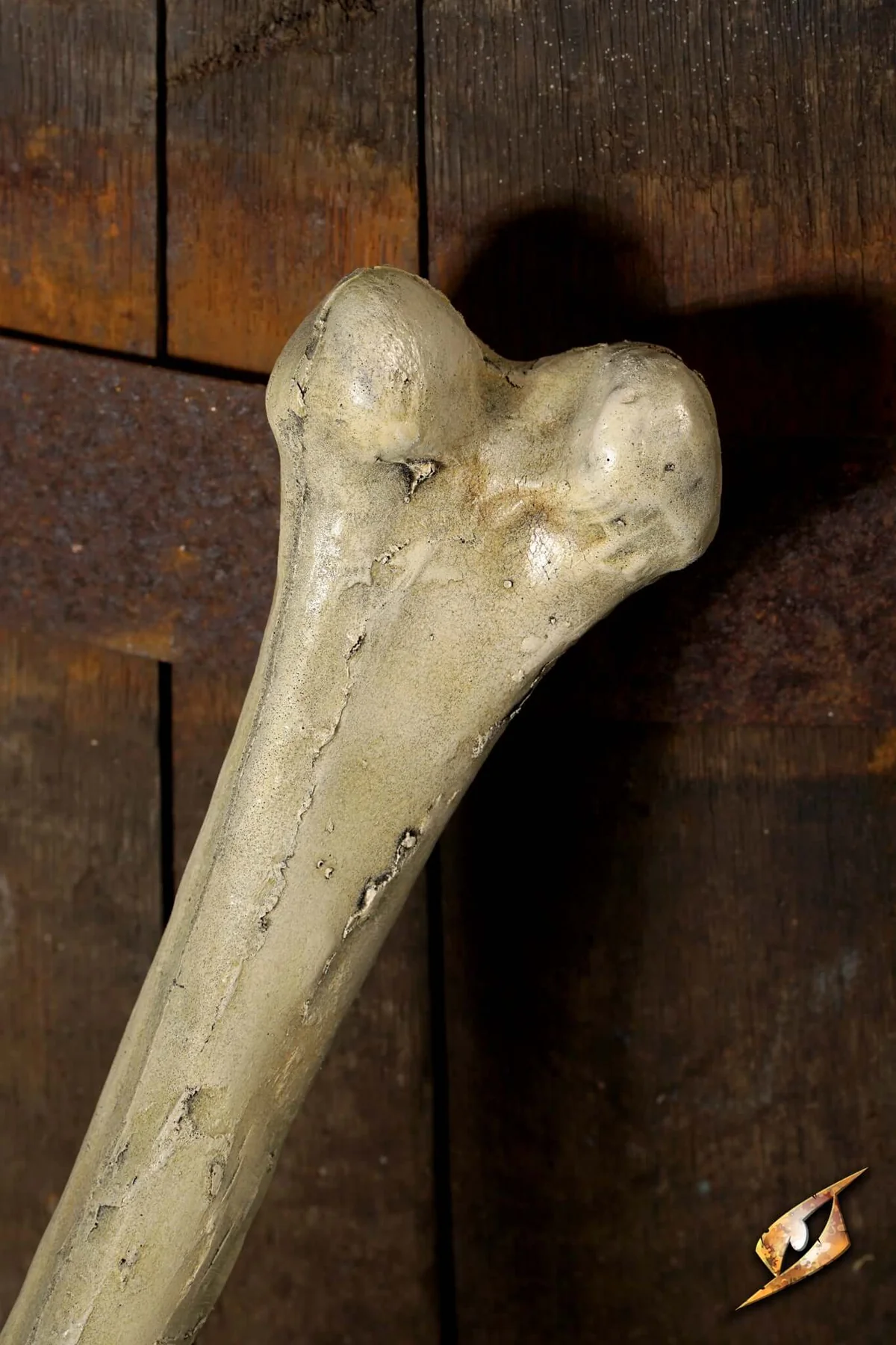 Thigh Bone - Image 5